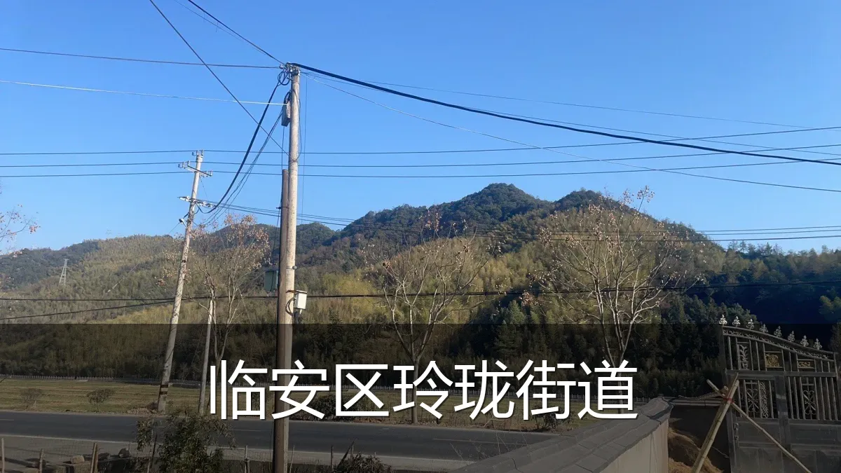临安区玲珑街道