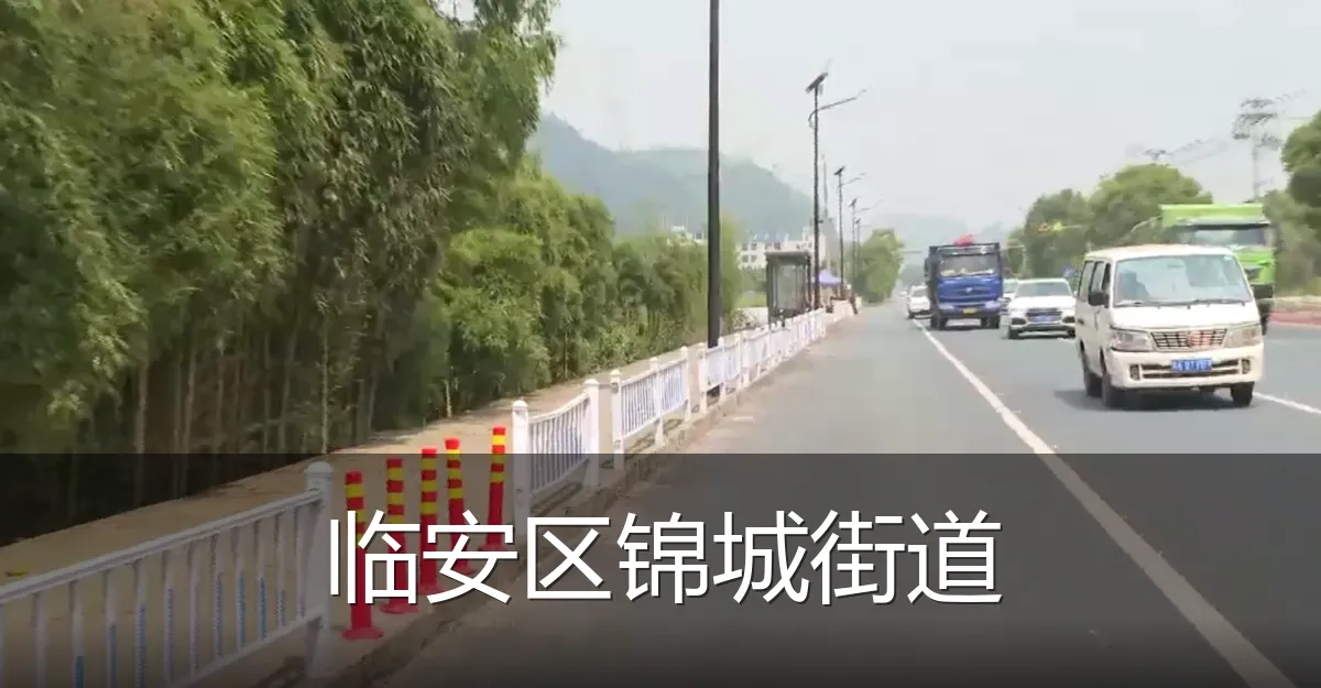临安区锦城街道