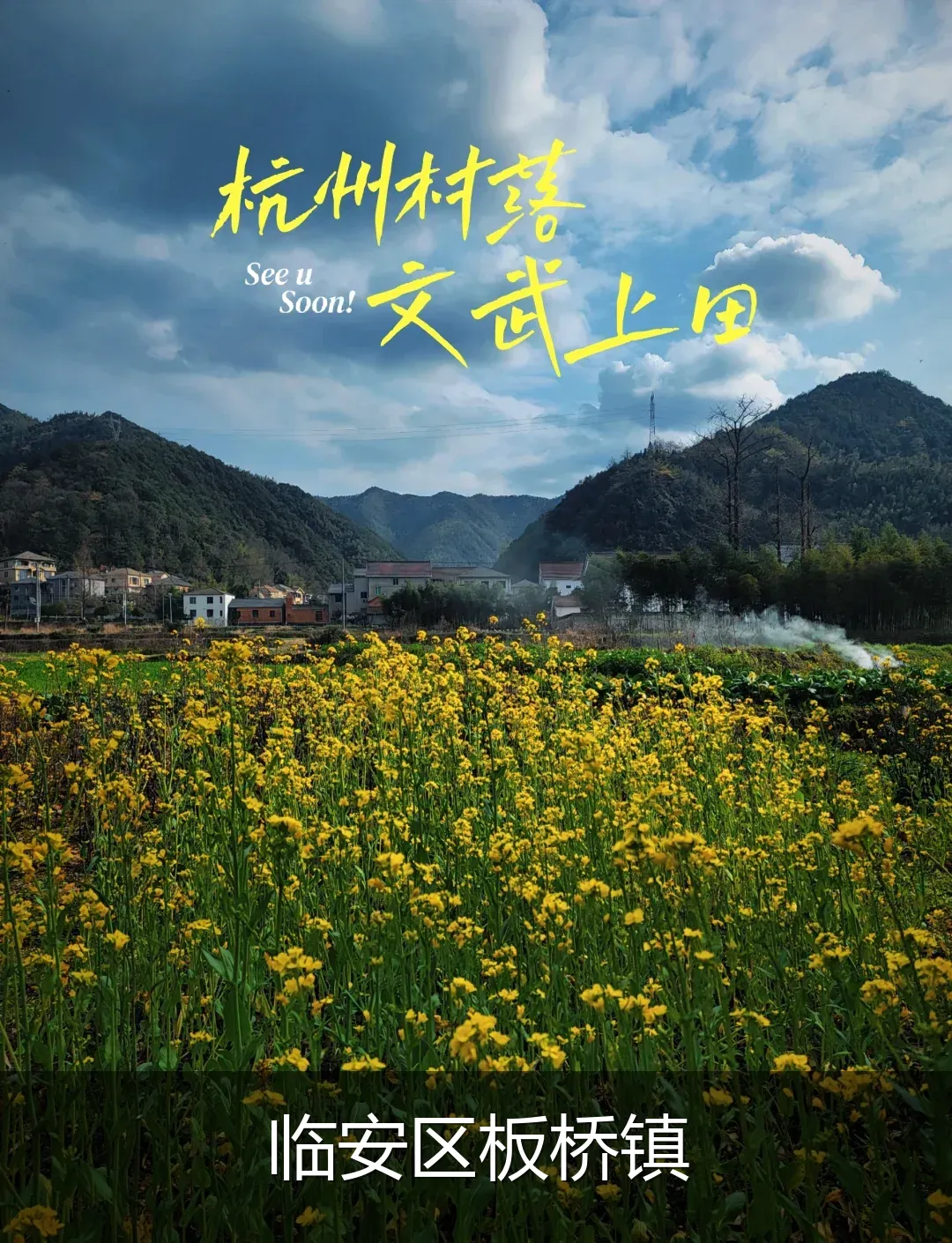 临安区板桥镇