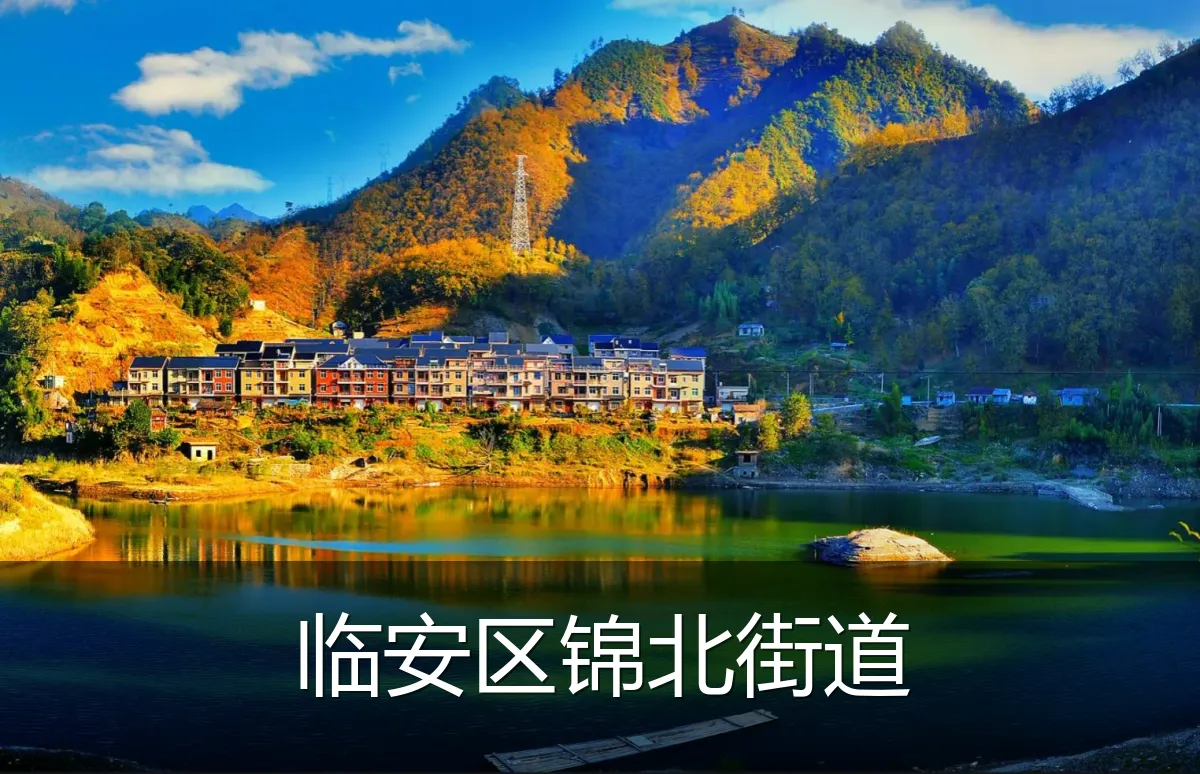 临安区锦北街道
