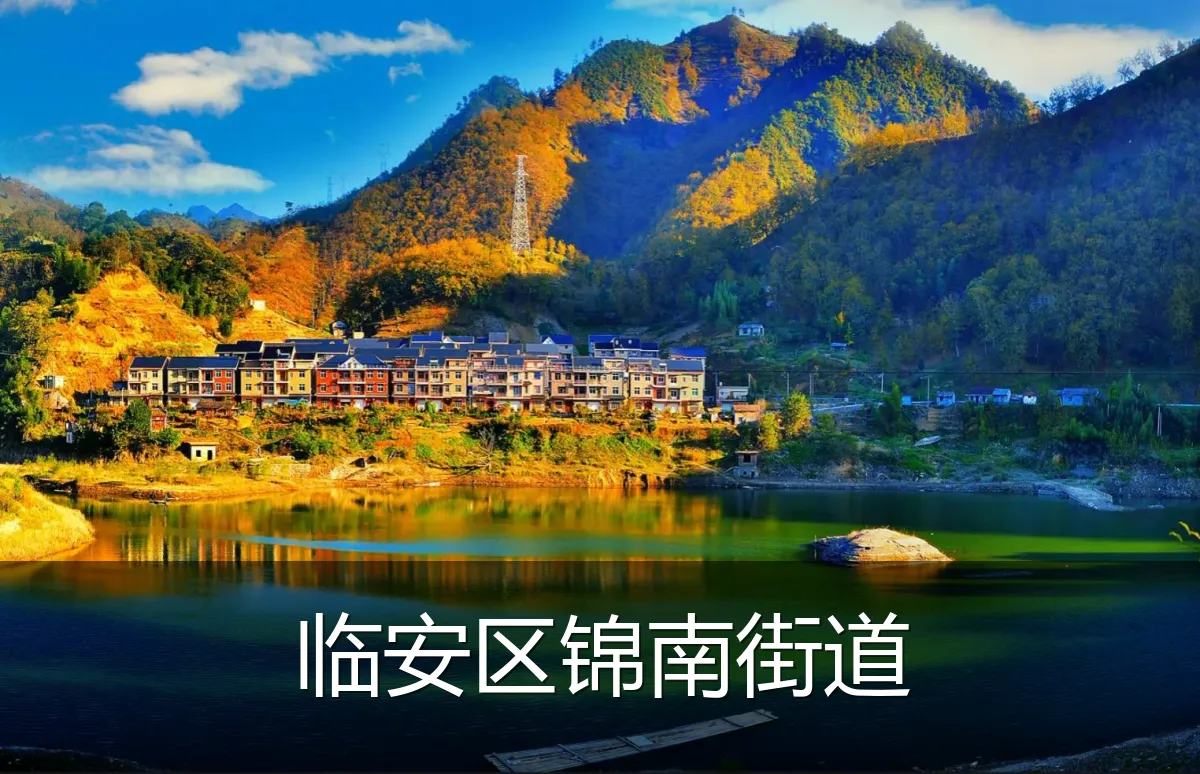 临安区锦南街道